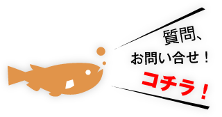 質問、お問い合わせはこちら